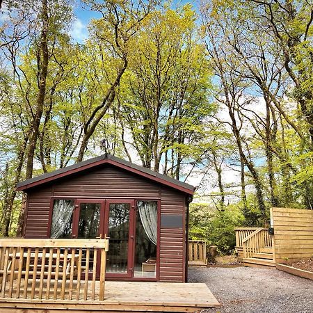Woodland View -Hot Tub-Tenby-Carmarthen-סנט קלירס מראה חיצוני תמונה