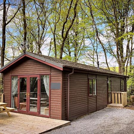 Woodland View -Hot Tub-Tenby-Carmarthen-סנט קלירס מראה חיצוני תמונה